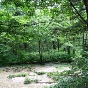 有限会社ゴリキ環境開発風景4