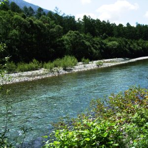 有限会社ゴリキ環境開発風景1