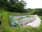 岩崎農園イメージ画像28