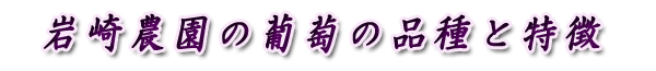 岩崎農園の葡萄の品種と特徴