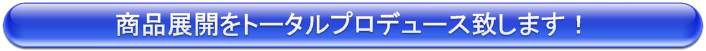 商品展開をトータルプロデュース