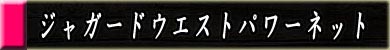 インナーファッションジャガードウエストパワーネット